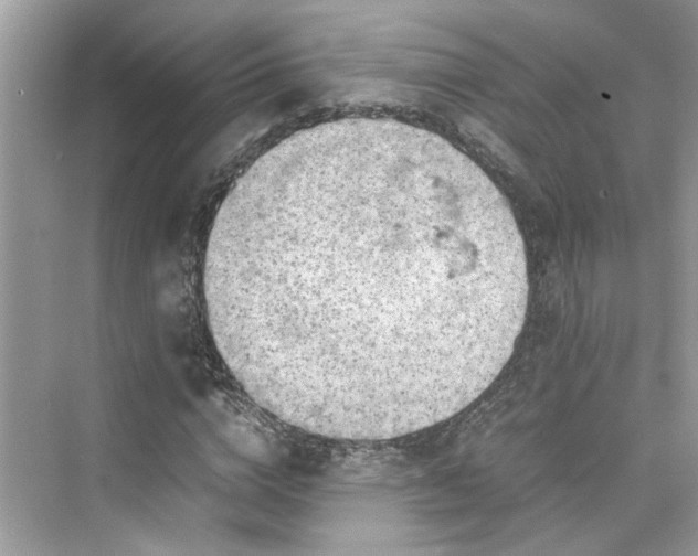 X0000075820824200609291408