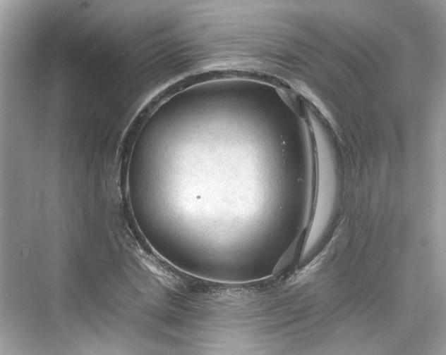 X0000075820830200609291409