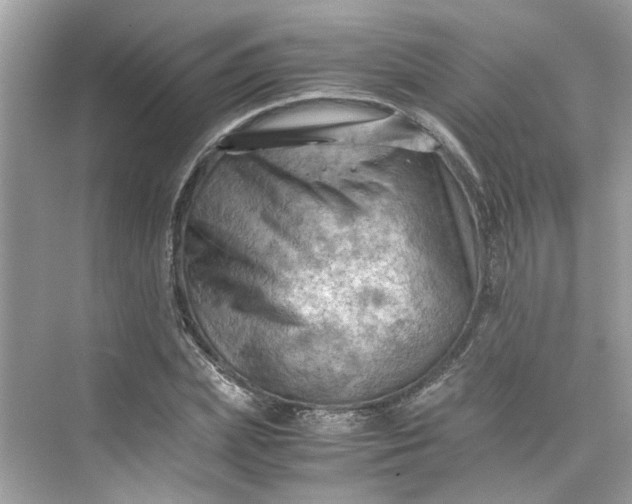 X0000075820831200609291409