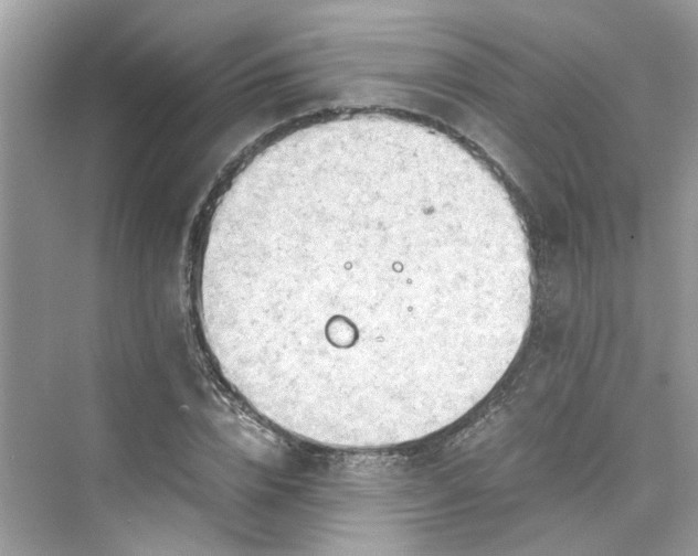 X0000075820832200609291409