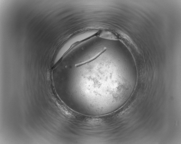 X0000075820833200609291409