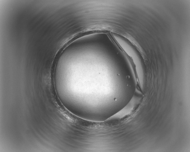 X0000075820834200609291409