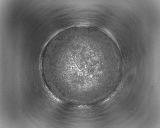 X0000075820835200609291409