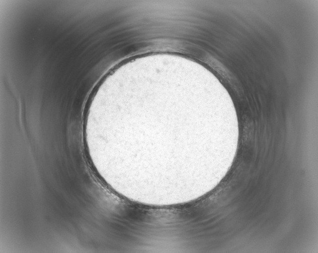 X0000075820836200609291409