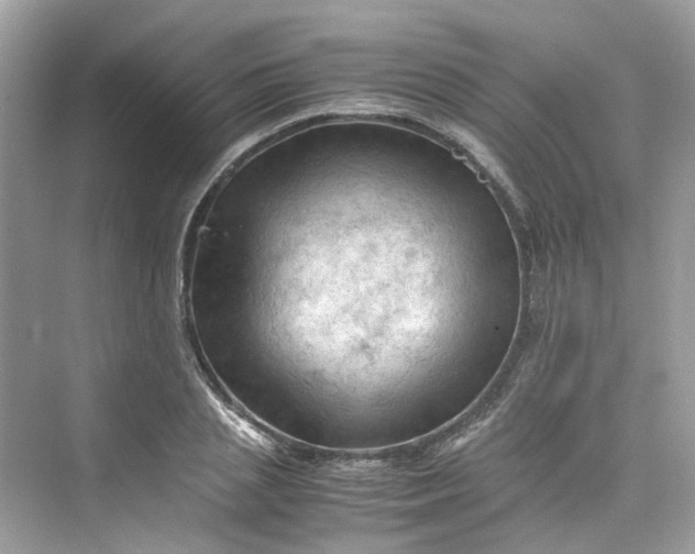 X0000075820837200609291409