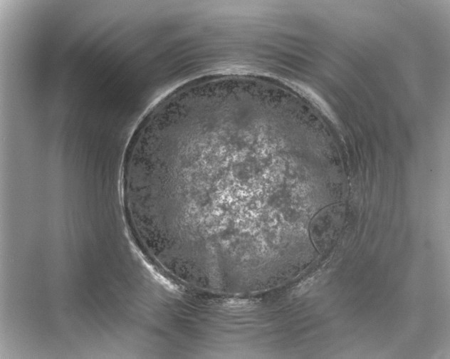 X0000075820839200609291409