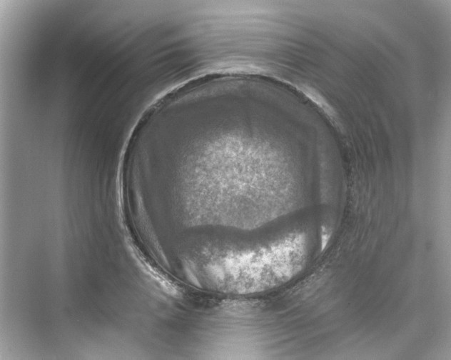 X0000075820840200609291409