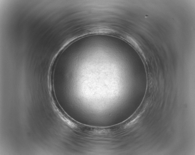 X0000075820843200609291409