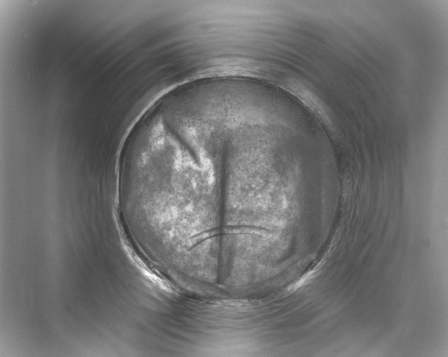 X0000075820844200609291409