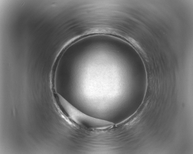 X0000075820846200609291409