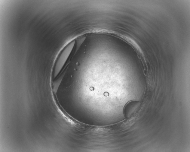 X0000075820847200609291409