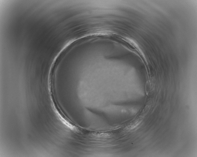 X0000075820851200609291409