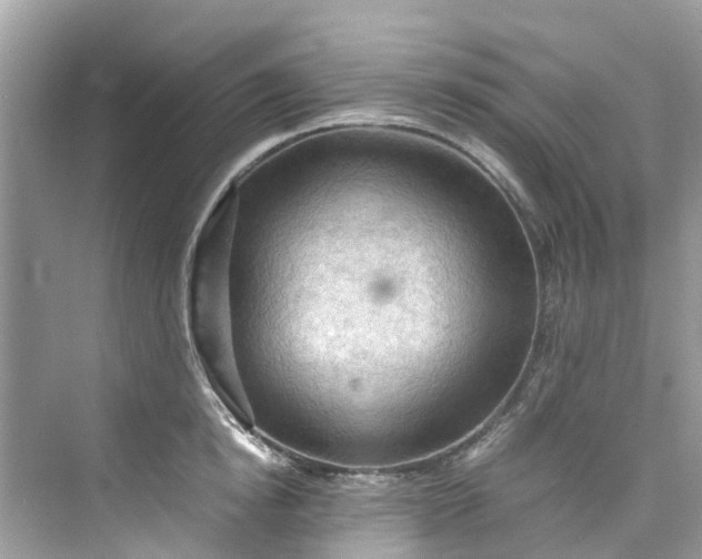 X0000075820854200609291409