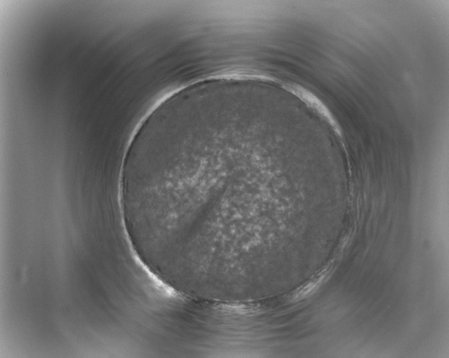 X0000075820855200609291409