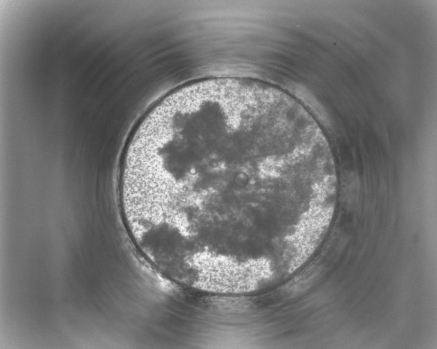 X0000075820856200609291409