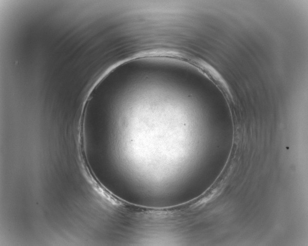 X0000075820860200609291409