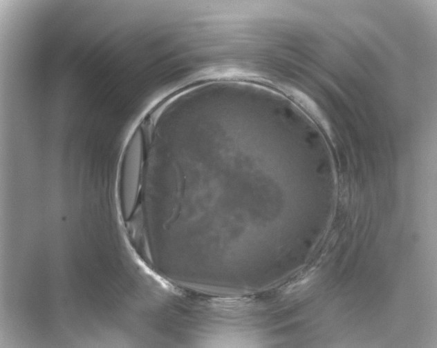 X0000075820863200609291409