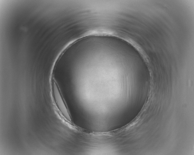 X0000075820864200609291409