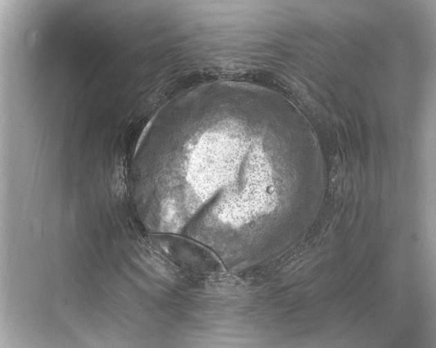 X0000075820866200609291408