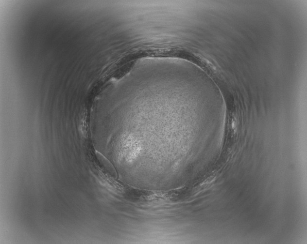 X0000075820867200609291408