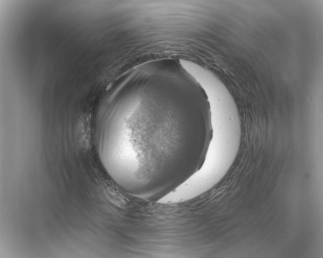 X0000075820868200609291408