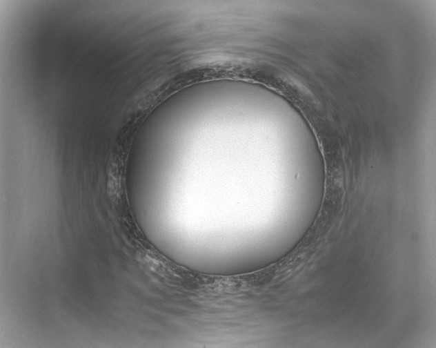 X0000075820869200609291408