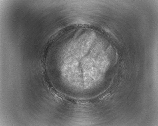 X0000075820870200609291408