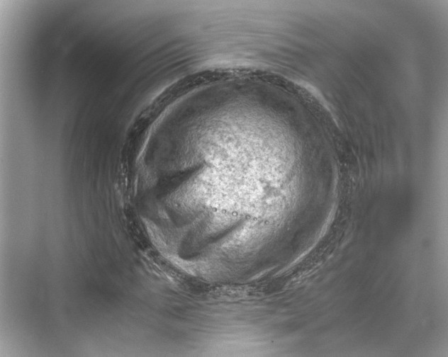 X0000075820871200609291408