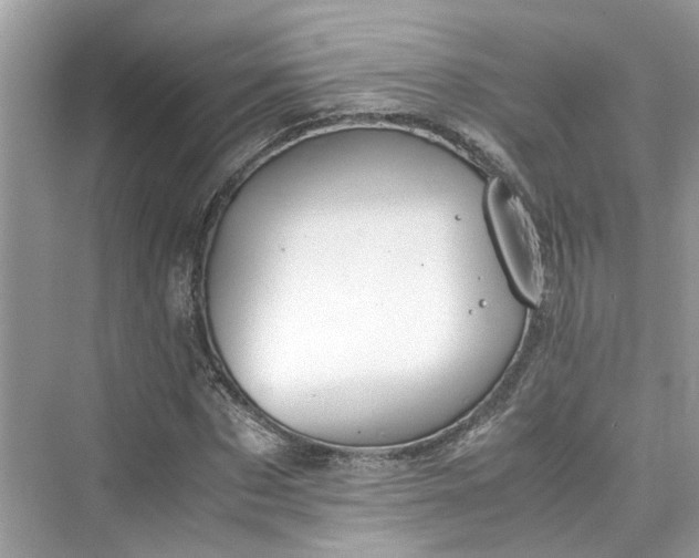 X0000075820873200609291408