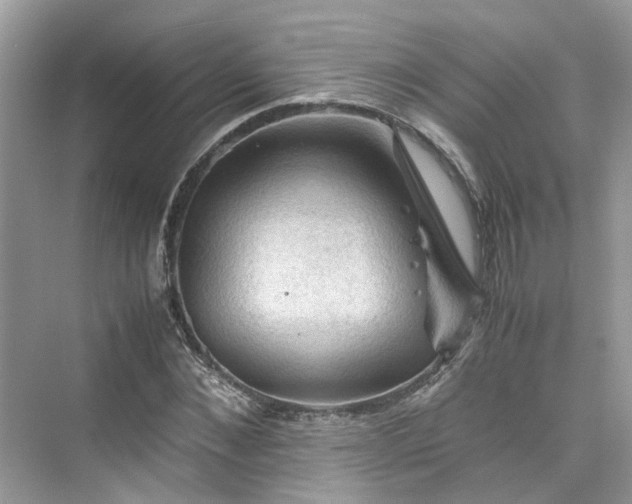 X0000075820876200609291408