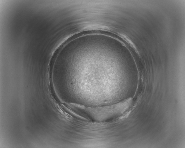 X0000075820877200609291408