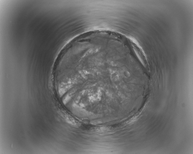 X0000075820879200609291408