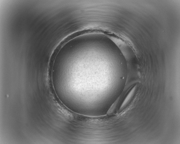 X0000075820880200609291408