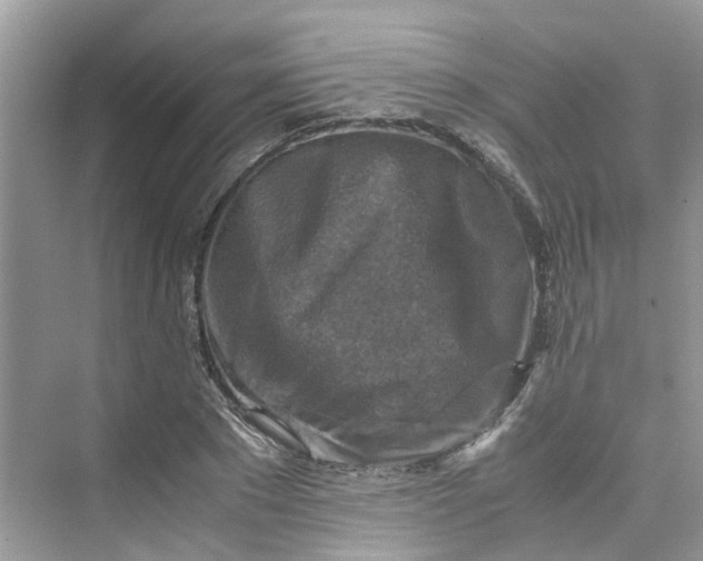 X0000075820881200609291408