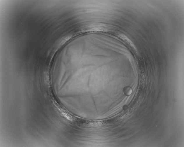 X0000075820882200609291408