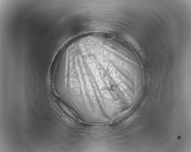 X0000075820883200609291408