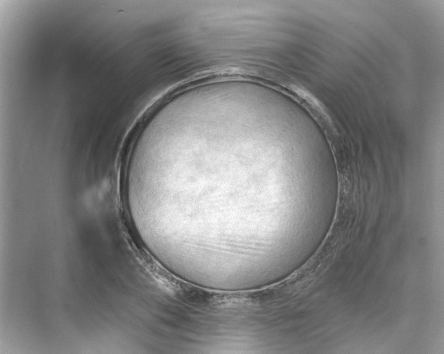 X0000075820886200609291408