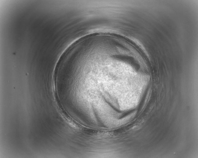 X0000075820887200609291408