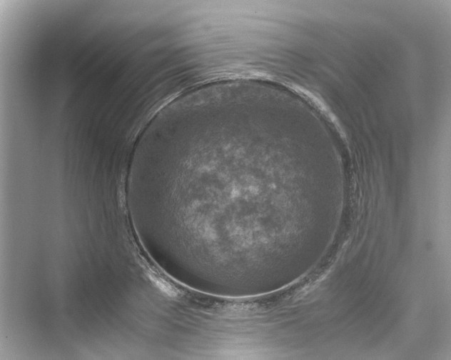 X0000075820889200609291408