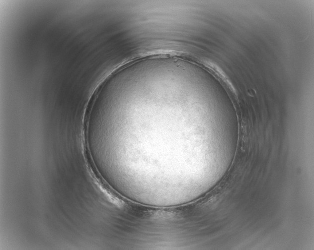 X0000075820890200609291408