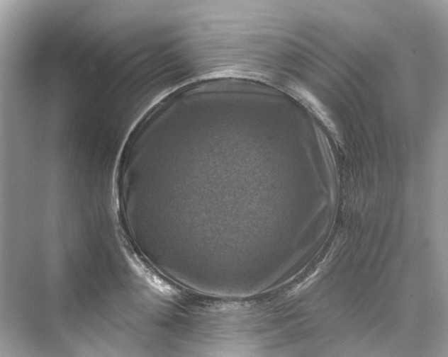 X0000075820892200609291408