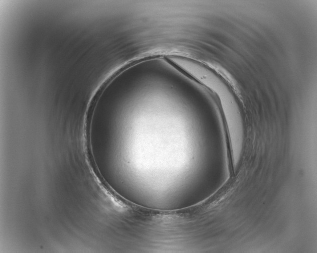 X0000075820894200609291408