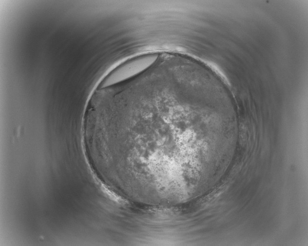 X0000075820895200609291408