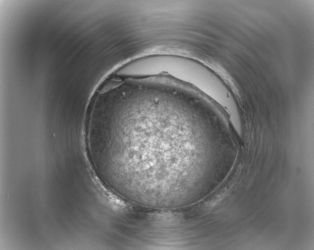 X0000075820896200609291408