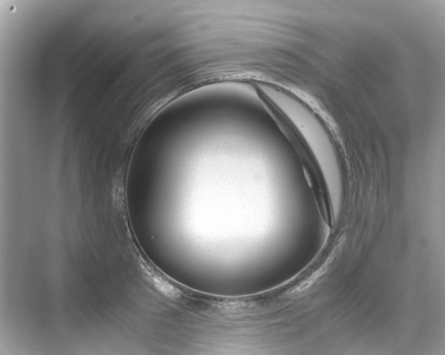 X0000075820897200609291408