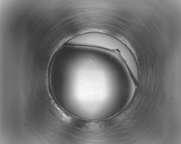 X0000075820898200609291408