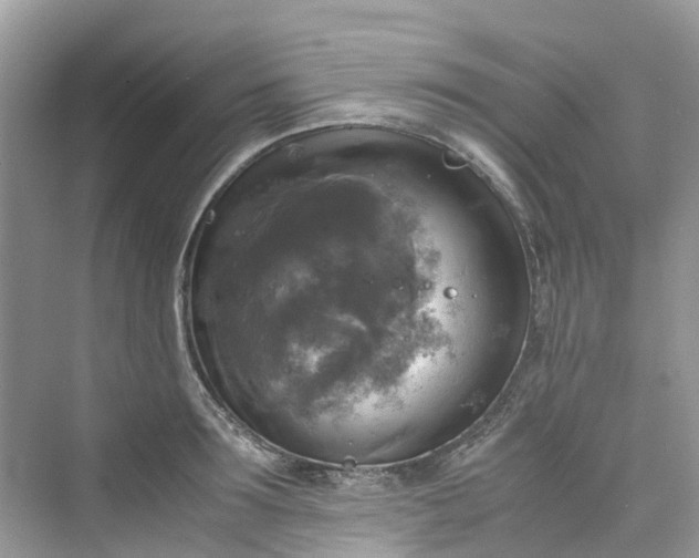 X0000075820899200609291408