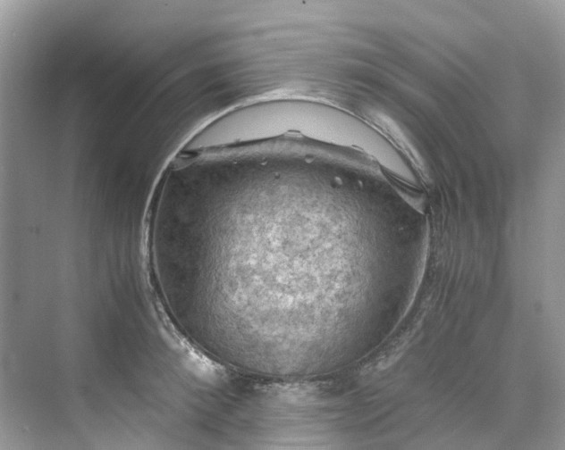 X0000075820900200609291408