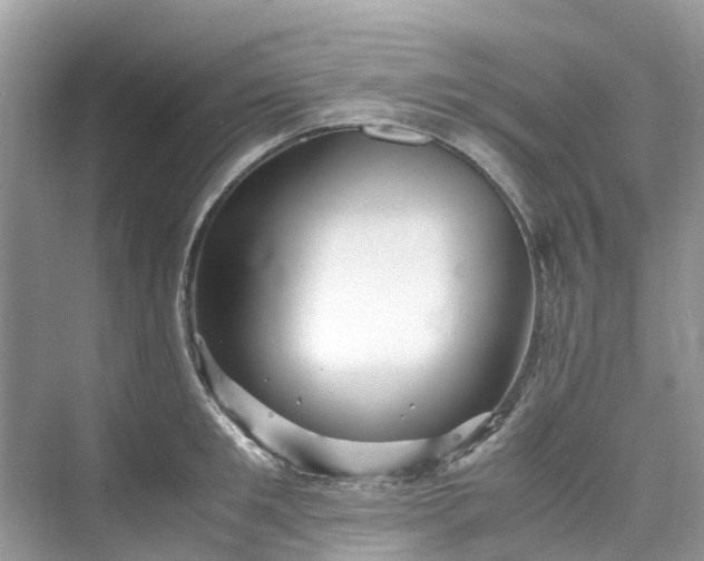 X0000075820901200609291408