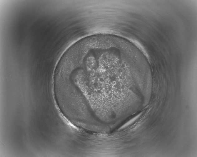 X0000075820903200609291408